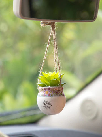 Natural Life Faux Succulent Plant-Will Not Stress