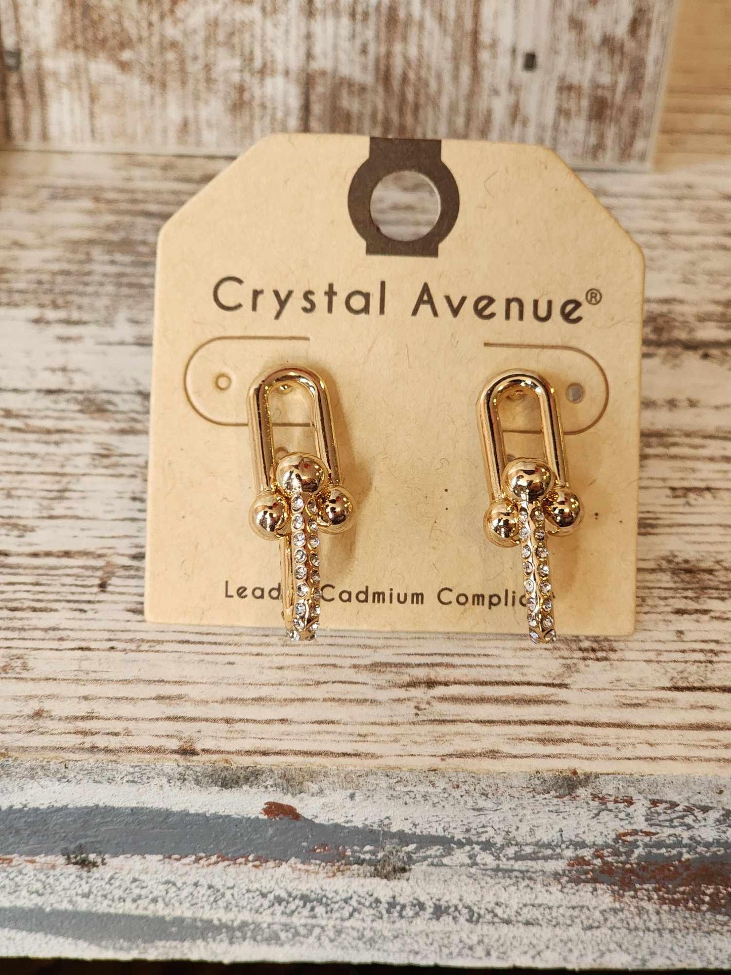 U Chain Earrings