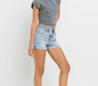 Vervet Plus Rebecca High Rise Shorts