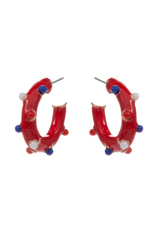 USA Enamel Earrings