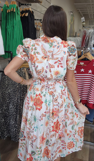 Spring Multi Color Dress
