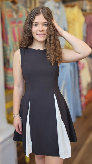 Chic Pleated Contrast Panel Dress