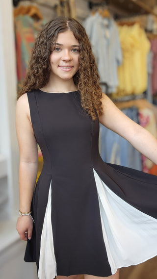 Chic Pleated Contrast Panel Dress