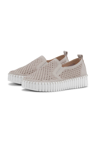 IJ Tulip Blue Shoe